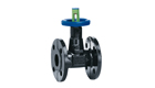 Globe valves